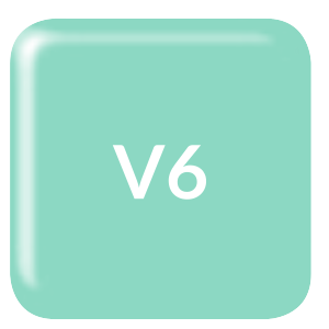 v6